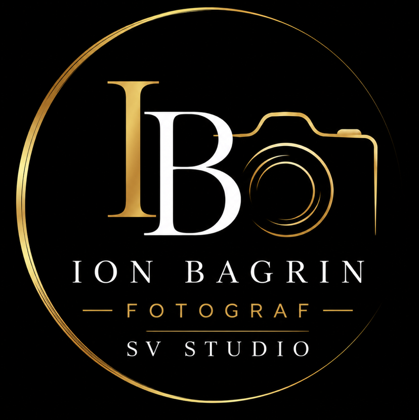 Ion Bagrin SvStudio